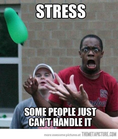 funny stress memes	