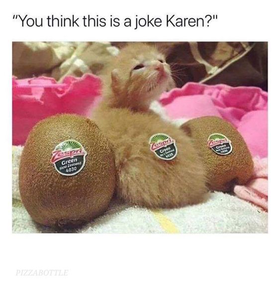 karen cat jokes