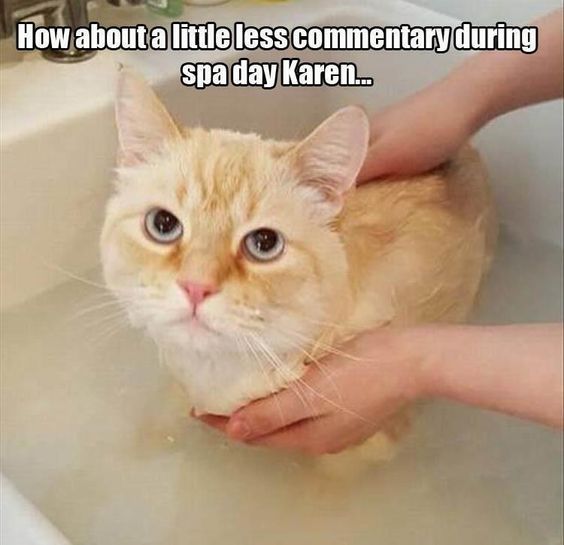 Karen, You and Those Cat Memes 