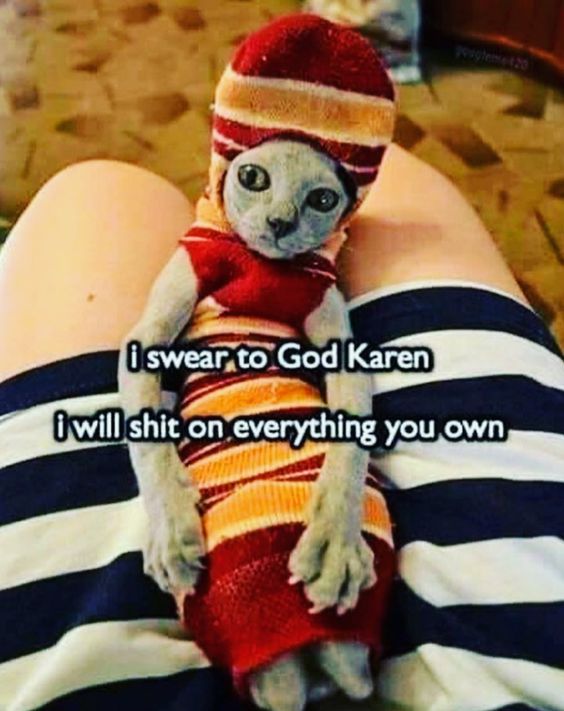 Karen Cat Meme