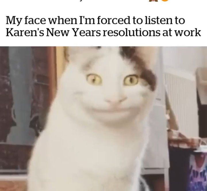 karen and cat memes