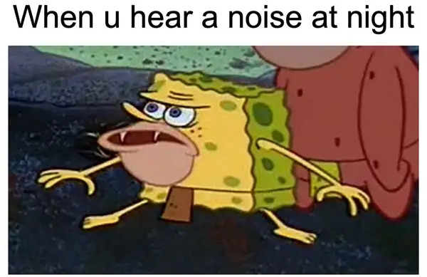 spongegar hear a noise at night meme