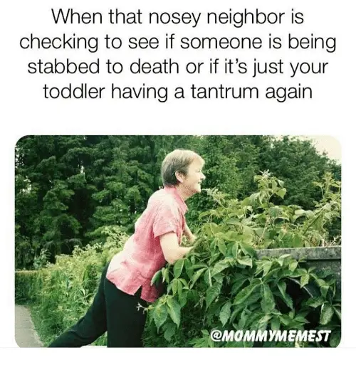Funny Nosey Neighbors Meme 1